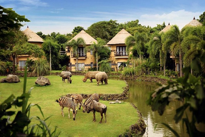 Hotel Safari lodge