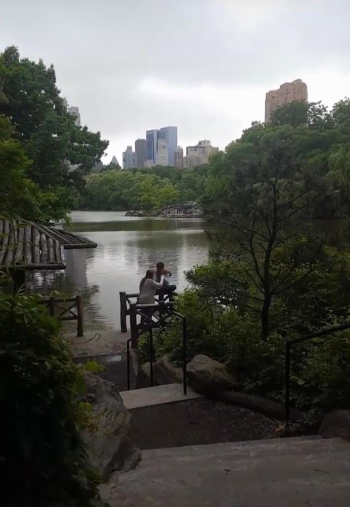 Central park, New York for cheap